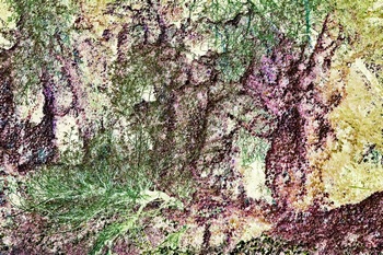 N 159D